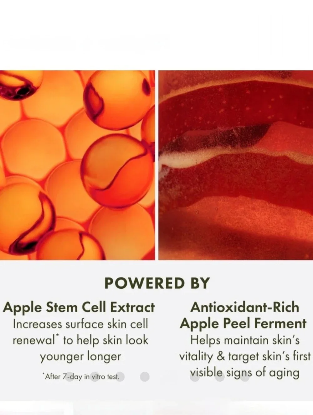 ORIGINS Youthtopia Peptide Plumping Apple Cream